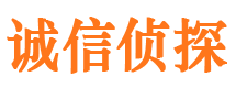 阜南诚信私家侦探公司